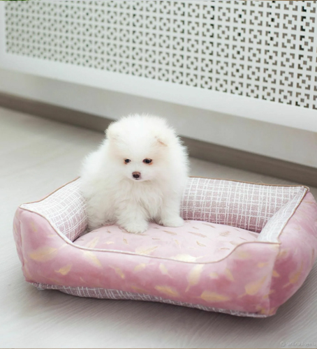 cuddler pet bed